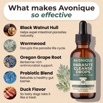 Avonique™- Parasite Cleanse Drops