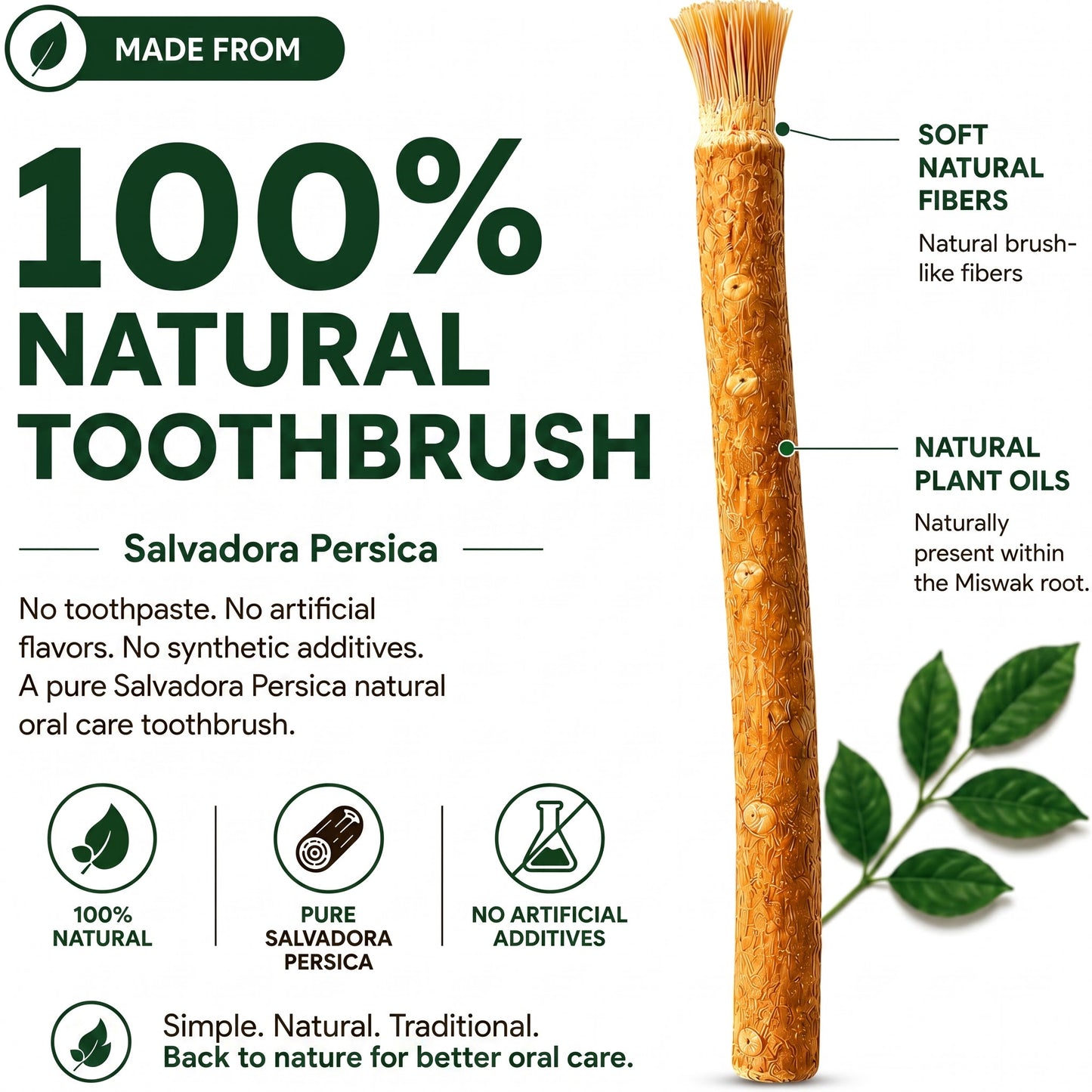 Avonique™ Miswak Sticks for Teeth