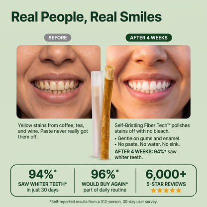 Avonique™ Miswak Sticks for Teeth