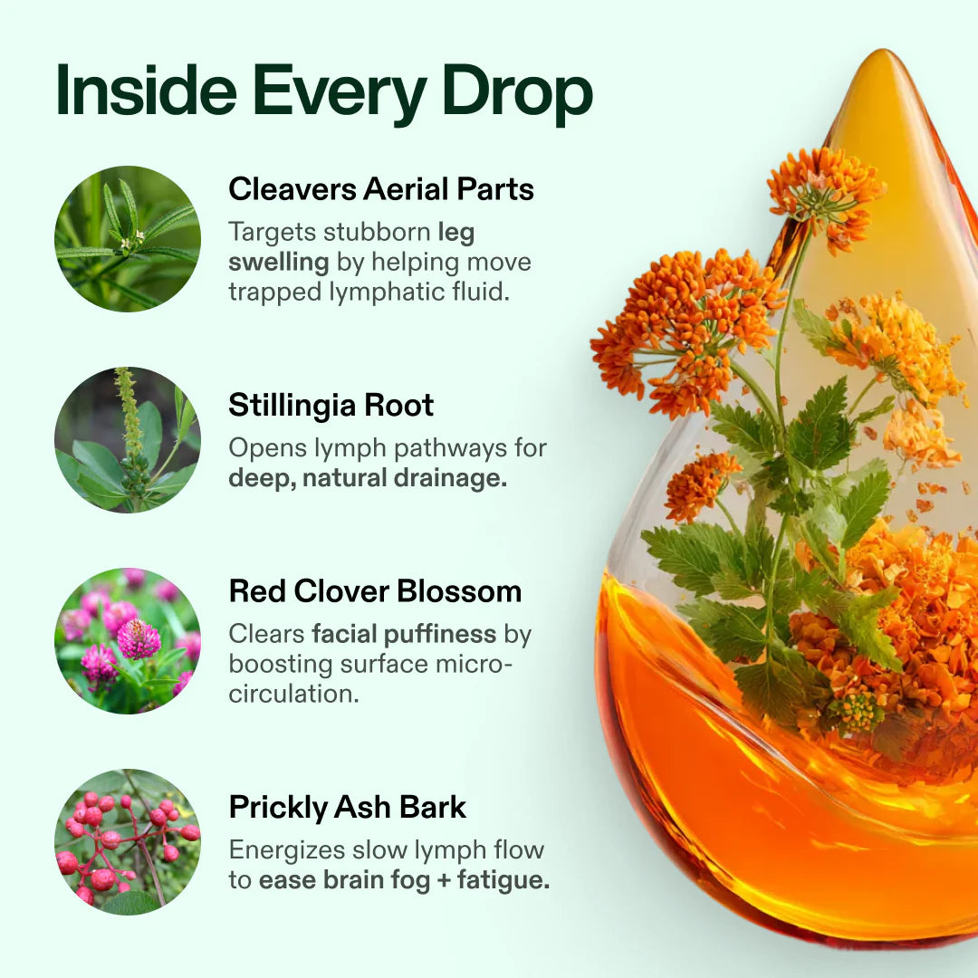Avonique™ Organic Lymphatic Drainage