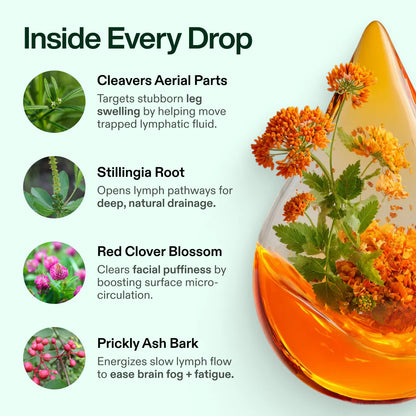 Avonique™ Organic Lymphatic Drainage